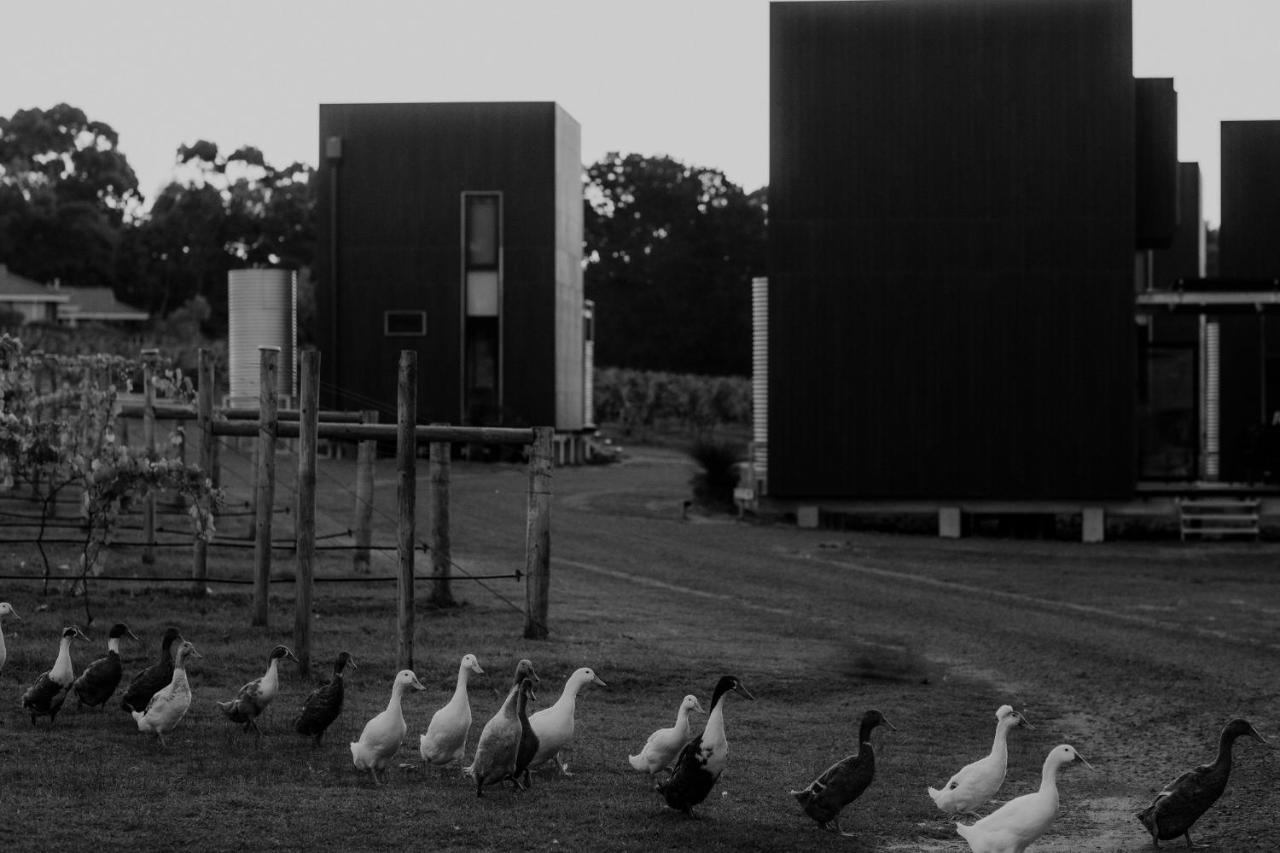 Barn Hives Yallingup Buitenkant foto