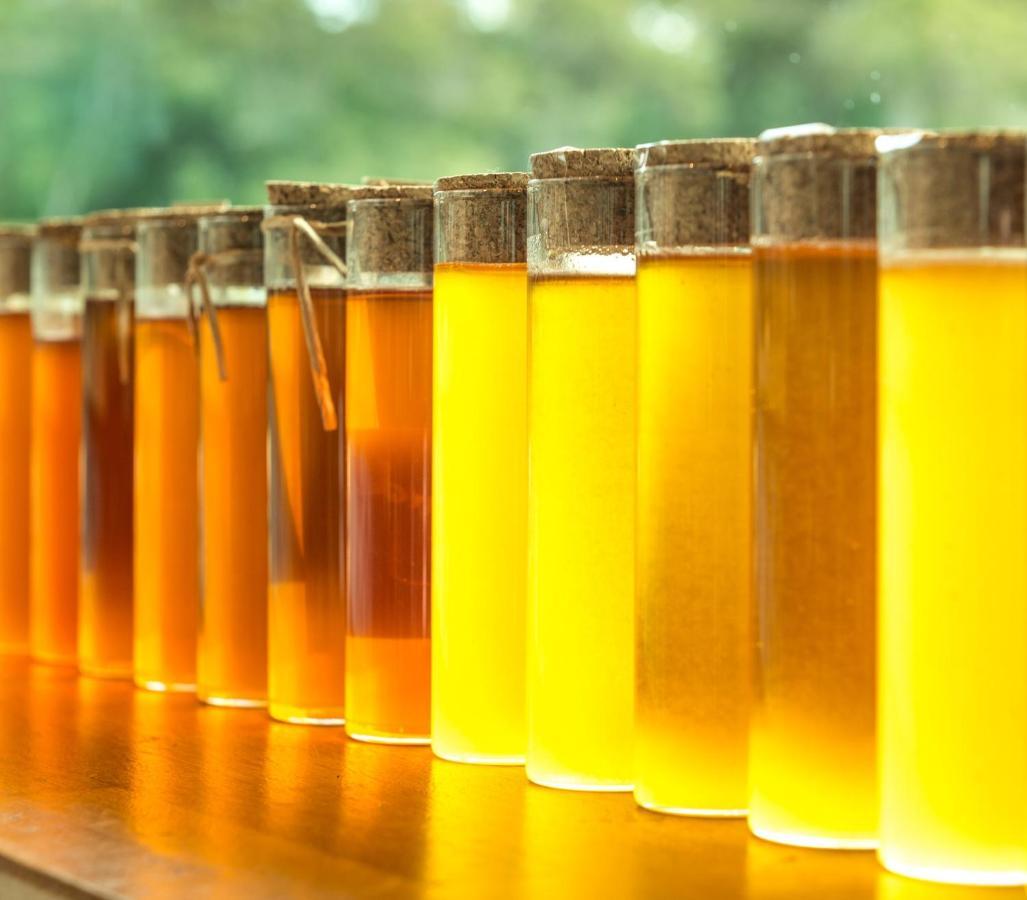 Barn Hives Yallingup Buitenkant foto